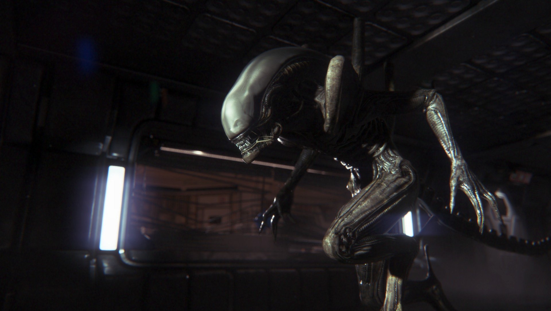 Alien isolation collection steam фото 32