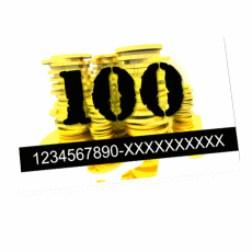 PIN на 100р.