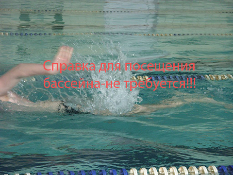 Справка в бассейн не требуется. Официальное письмо из