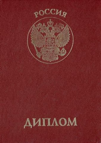 Диплом. Организация предпринимательской деятельности