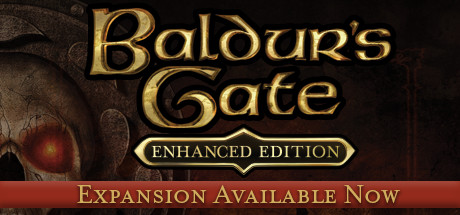 Baldurs Gate: Enhanced Edition (Steam RU/CIS)