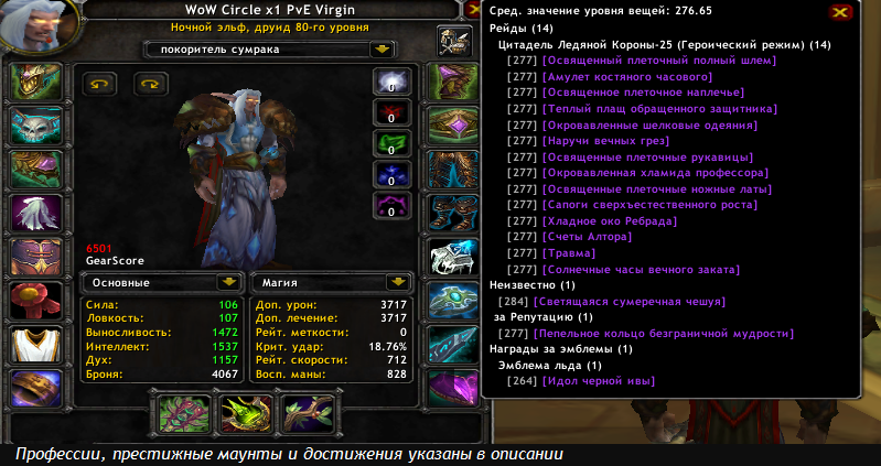 Аккаунт X1 LK - Дру Альянс (PvE Ферал/PvE Хил) №81
