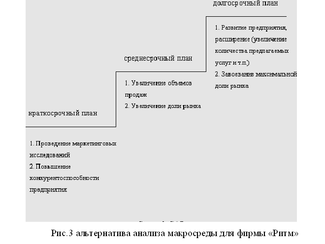 Курсовая Влияние макросреды на маркетинговые решения