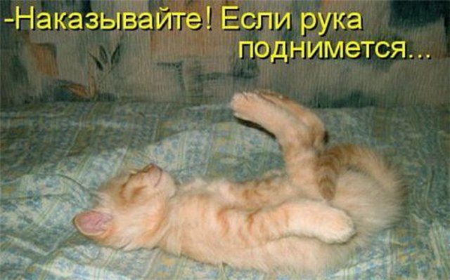 Контрольная  Уголовный процесс