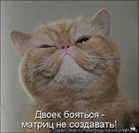 Задачи Статистика