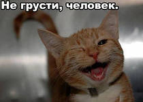 Задачи Имущественное право