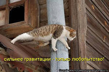 Диплом Управление доходностью предприятия
