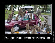 Задачи Таможенное право