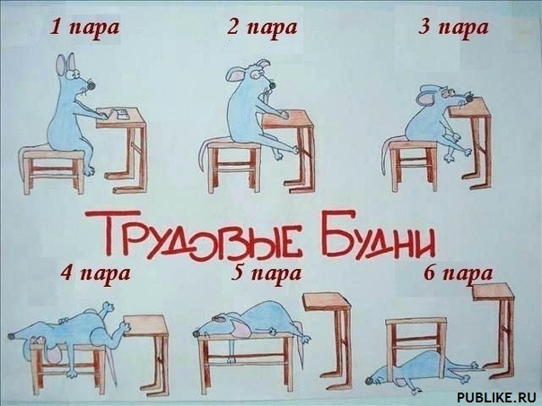 Контрольная Классификации правовых систем современности