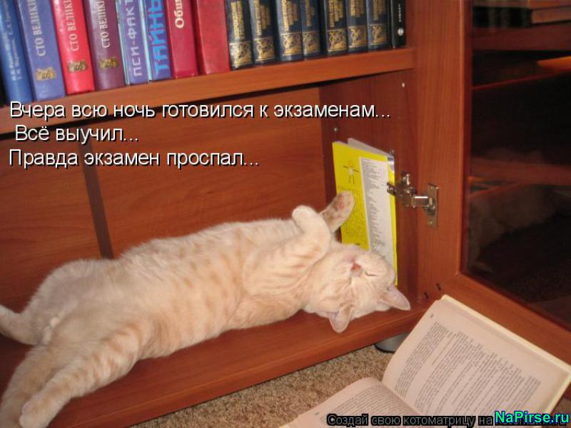 Библиотечный Юмор