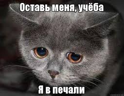 Тест Налогоплательщики и налоговые агенты