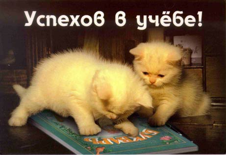Курсовая Роль гипотезы в исследованиях