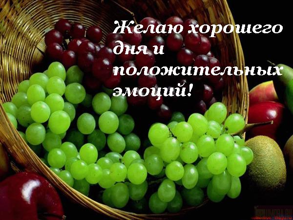 Задача Муниципальное право