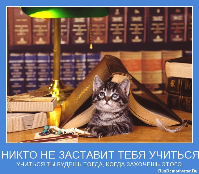 Контрольная Анестезиология и реаниматология как наука