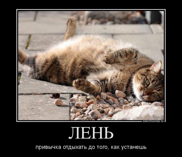 Контрольная Семейное право