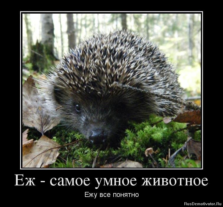 Контрольная Сущность и понятие системы права