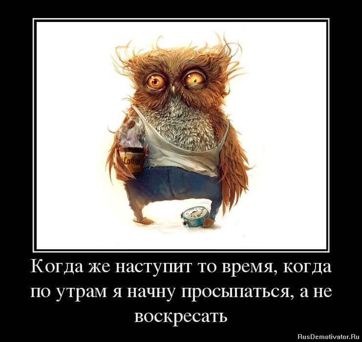 Контрольная Философия Картины мира