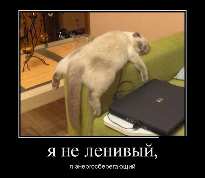 Реферат Россия - международная свалка ядерных отходов