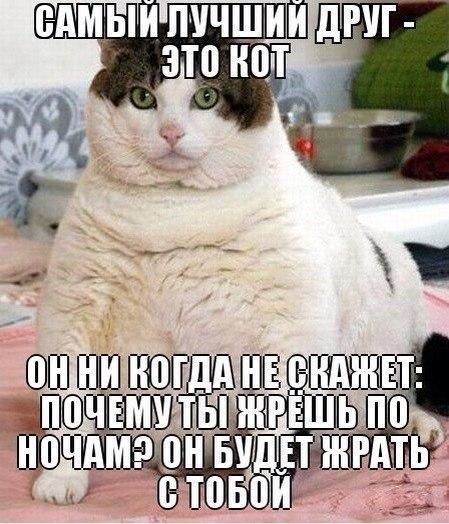 Контр. Тамож. операции, предшеств. перемещению товаров
