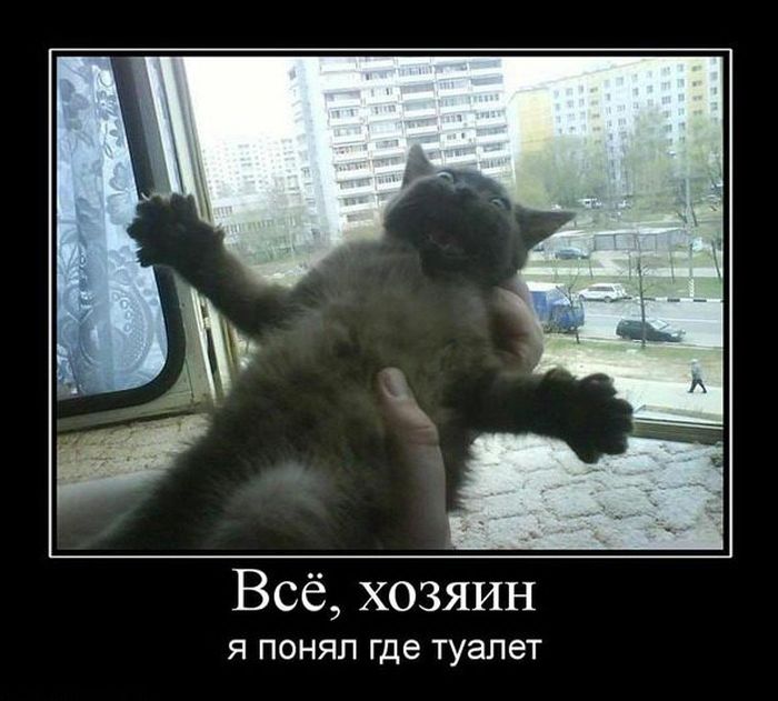 Курсовая Массовые беспорядки в УИС