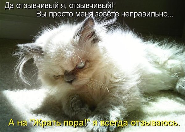 Контрольная Финансовое право