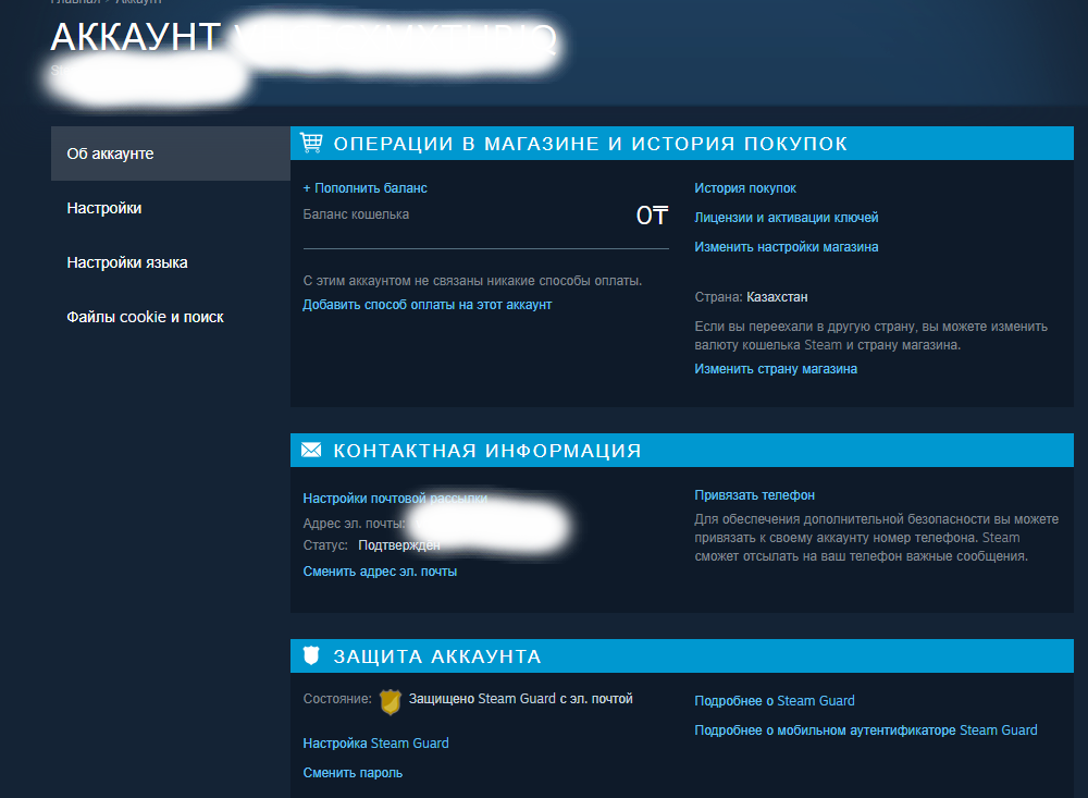 Казахстанский аккаунт стим. Стим Казахстан. Купить казахстанский аккаунт Steam