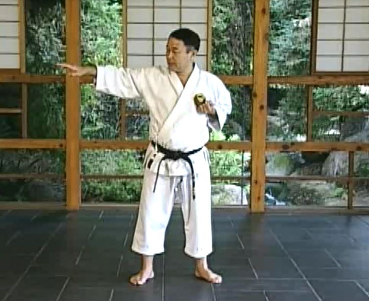 Matsubayashi karate-Jutsu
