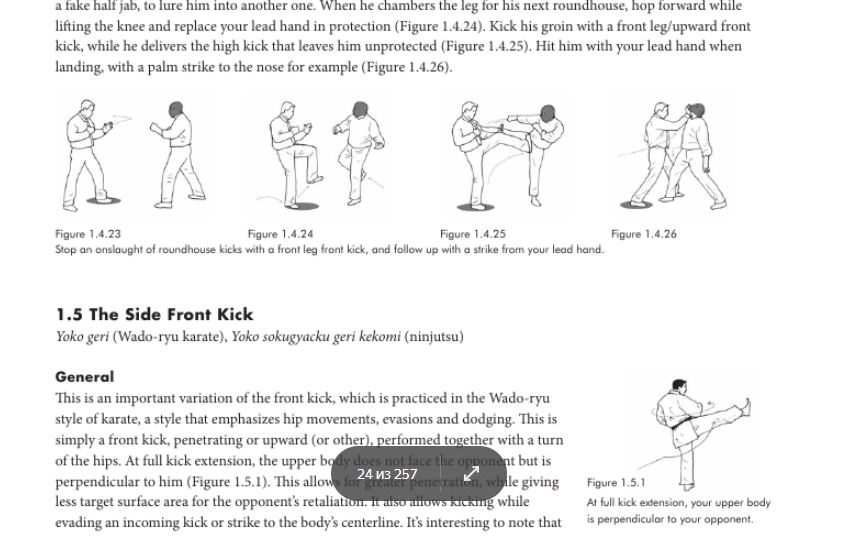Buy Essential book of martial arts kicks 89 kicks and download