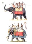 Книга: Боевые слоны