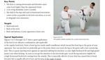Essential book of martial arts kicks : 89 kicks