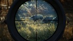 theHunter: Call of the Wild * RU/KZ/СНГ/TR/AR * STEAM