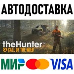 theHunter: Call of the Wild * STEAM Россия 🚀 АВТО