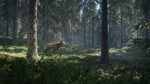 theHunter: Call of the Wild * RU/KZ/СНГ/TR/AR * STEAM