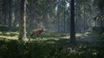 theHunter: Call of the Wild * STEAM Россия 🚀 АВТО