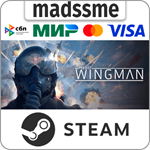 Project Wingman * RU/KZ/СНГ/TR/AR * STEAM * АВТО