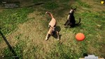 Animal Shelter * RU/KZ/СНГ/TR/AR * STEAM * АВТО