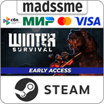 Winter Survival * RU/KZ/СНГ/TR/AR * STEAM * АВТО