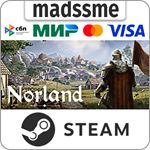 Norland * RU/KZ/СНГ/TR/AR * STEAM * АВТОДОСТАВКА