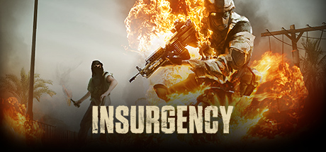 Insurgency (Steam Gift/ RU/ CIS) + Bonus