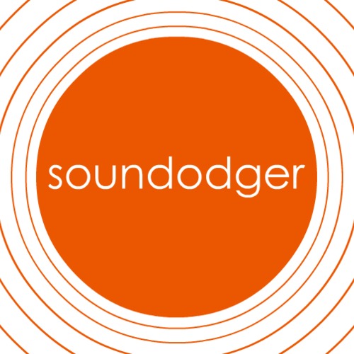 Soundodger+ and Soundtrack  (Steam Gift / ROW) HB link