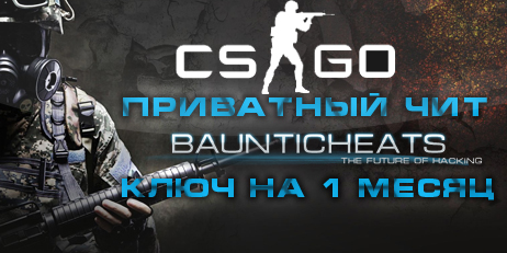 SteelHook for CS:GO (1 месяц)