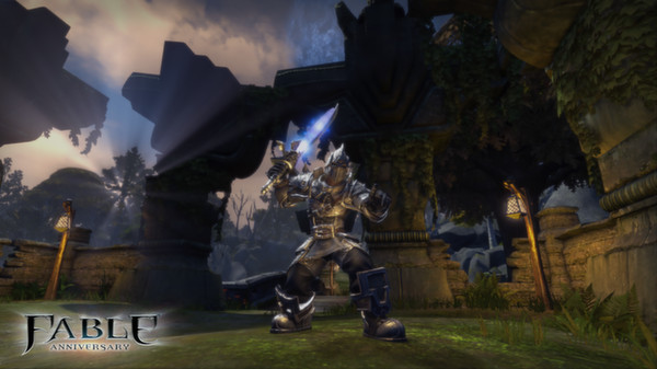 FABLE ANNIVERSARY (Steam)(RU/ CIS)