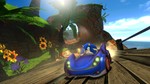 Sonic & SEGA All-Stars Racing (Steam)(RU/ CIS)