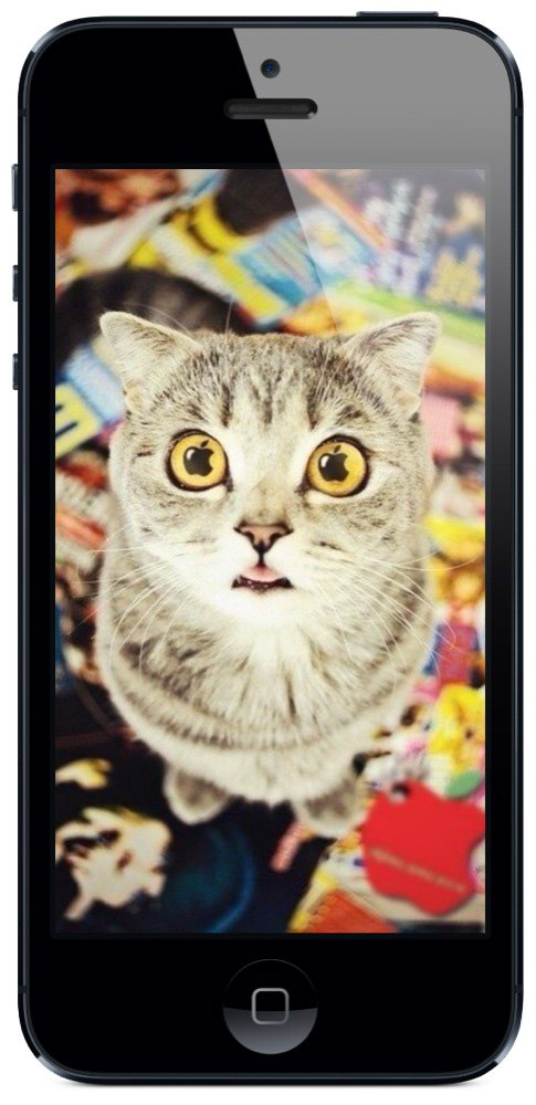 Общий Аккаунт App Store