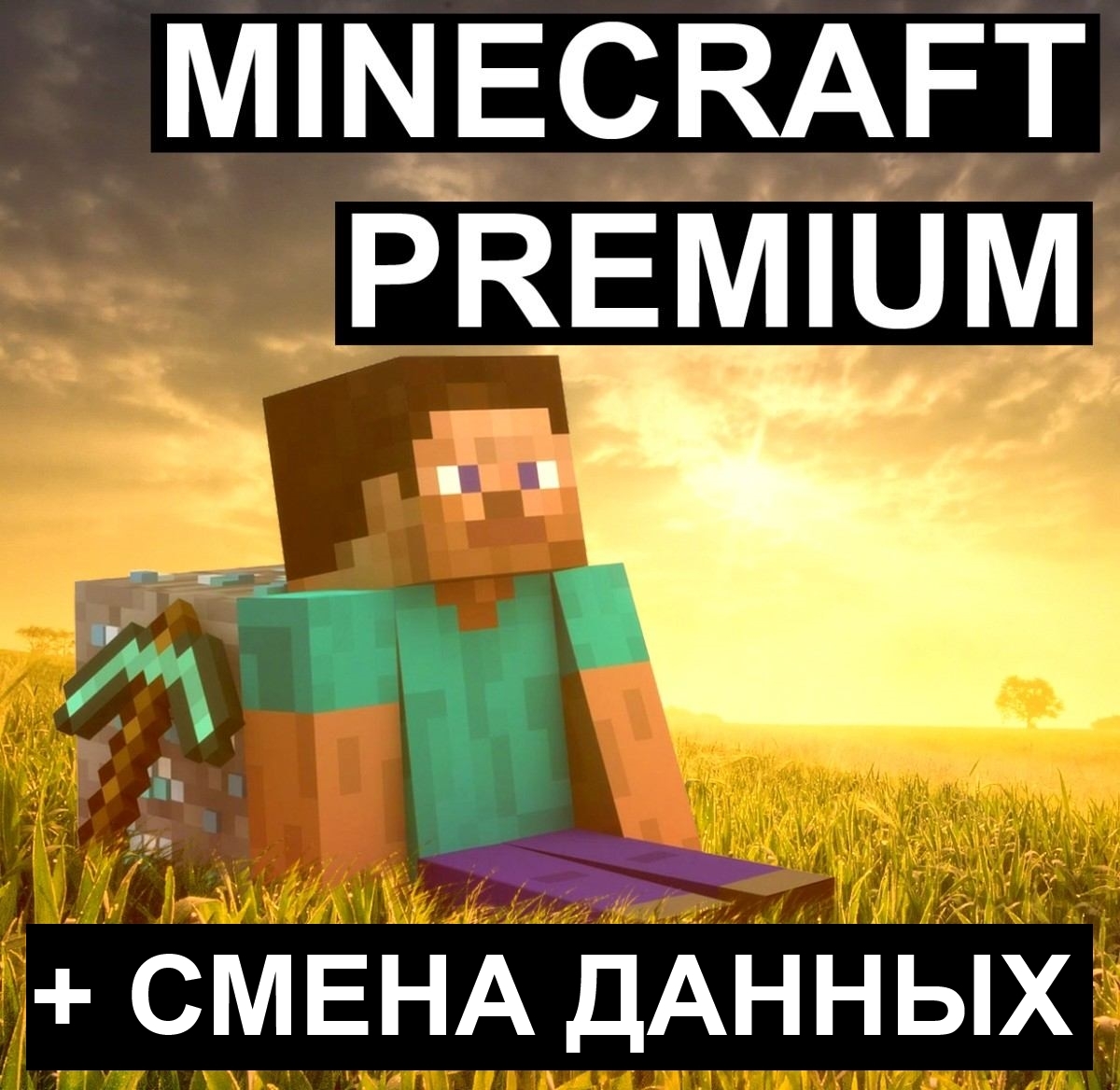 Minecraft Premium [Доступ на сайт] + Смена данных +Приз