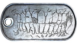 Battlefield 3 Dog Tag Item