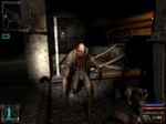 STALKER: Shadow of Chernobyl (Steam KEY / Region free)