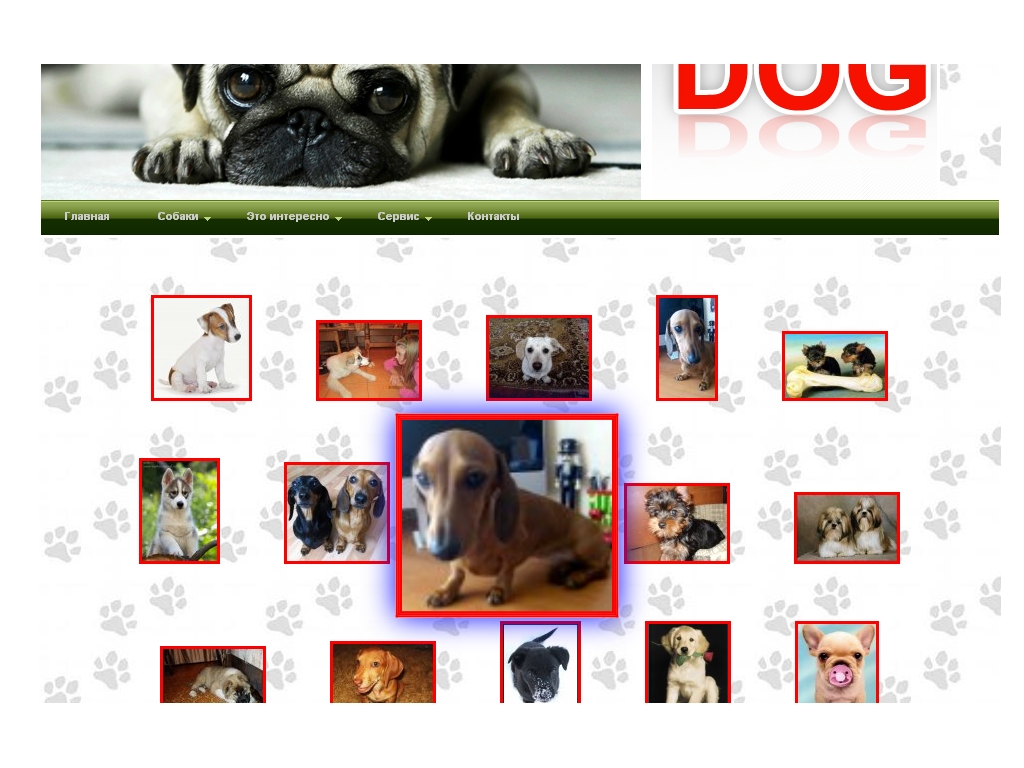 Dog rar. Профессии собак.