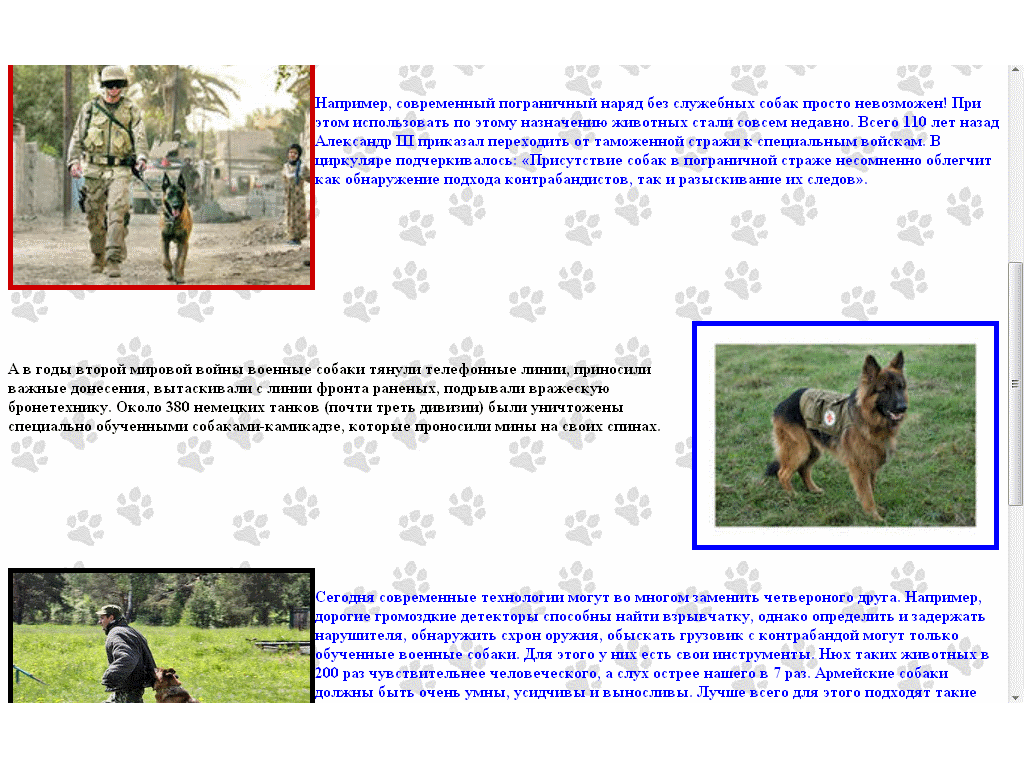 Назовите собачьи профессии. Профессии собак. Задания профессии собак. Профессии собак презентация. Профессии где нужны собаки.