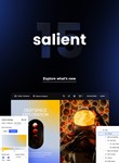 Salient [16.1.3] - Русификация премиум темы 🔥💜